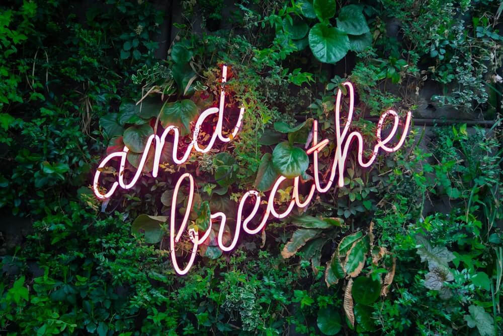 Conspiring Together in Difficult Times: Why Leadership Begins with Shared Breath