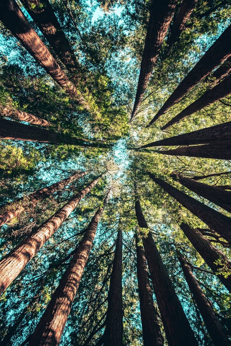 Leading with Love: Cultivating Connection in a Fractured World