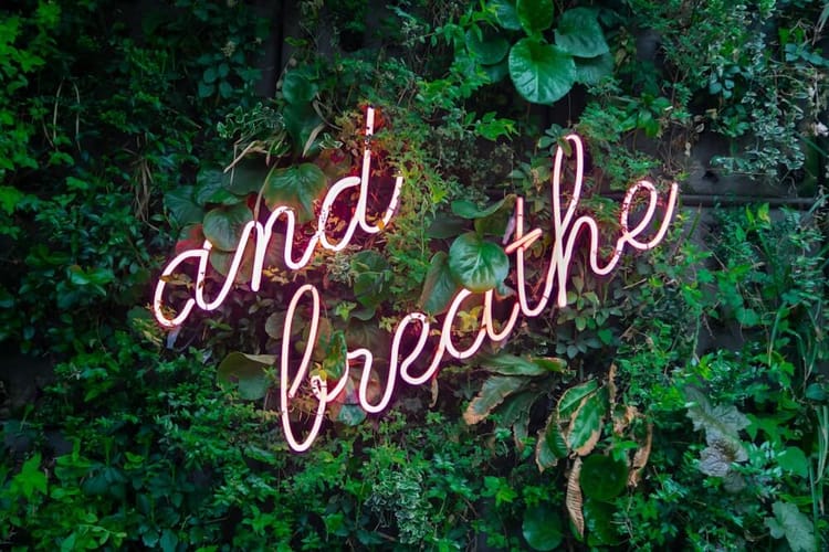 Conspiring Together in Difficult Times: Why Leadership Begins with Shared Breath